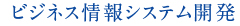 ビジネス情報システム開発